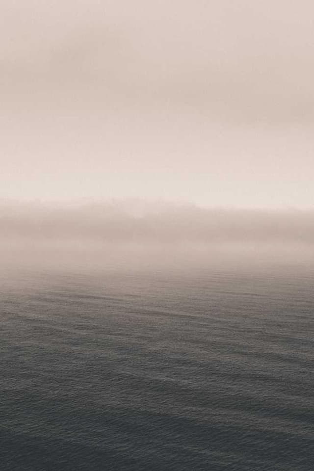 [DE] Royal Canin Urinary S/O (MidnightBlue ea #538)