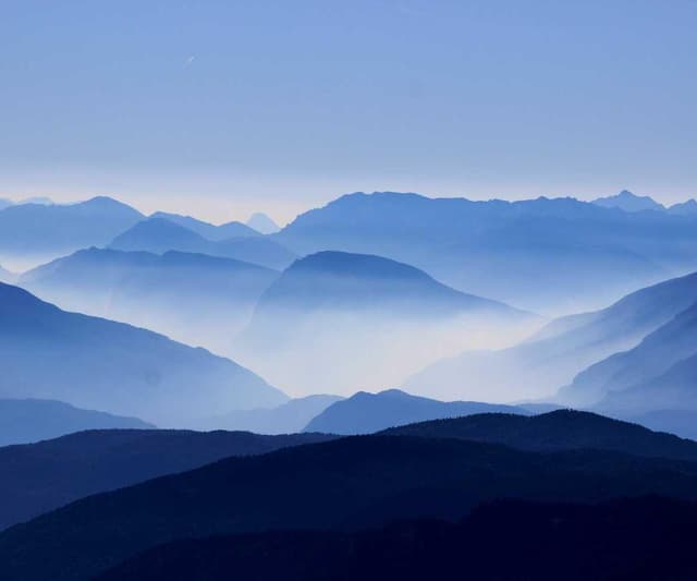 [DE] Furminator Deshedding Tool M (DimGrey alias #308)