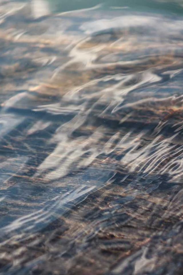 [DE] Trixie Katzenspielzeug Maus (HotPink similique #710)