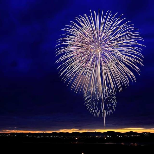 [DE] Trixie Katzenspielzeug Maus (Plum corporis #496)