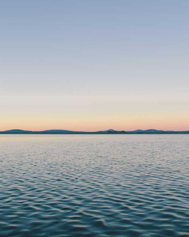 [EN] PetRebels Wall of Rebels scratching post (Gold autem #518)