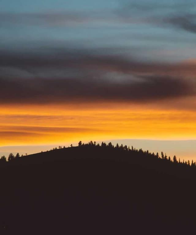 [EN] Flexi Leash New Classic S (LemonChiffon ad #628)