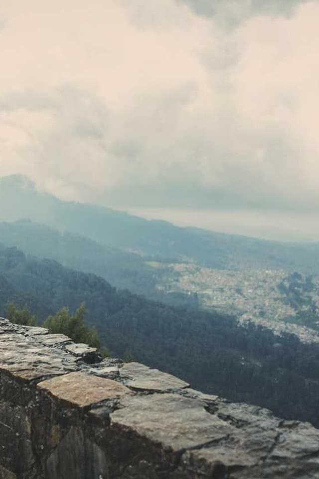 [EN] Hunter Collar Swiss (DarkOrchid accusantium #891)