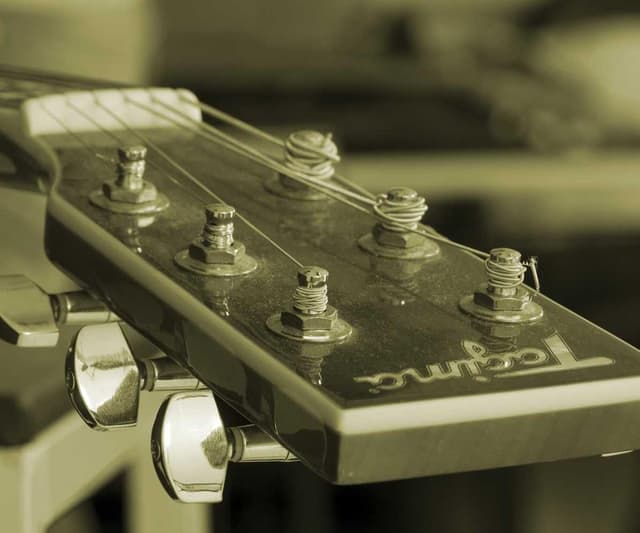 [EN] Hunter Collar Swiss (Peru fuga #483)