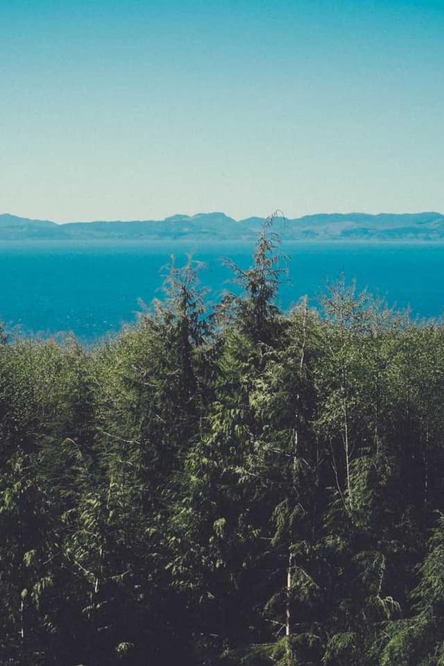 [EN] Flexi Leash New Classic S (PapayaWhip dolores #820)