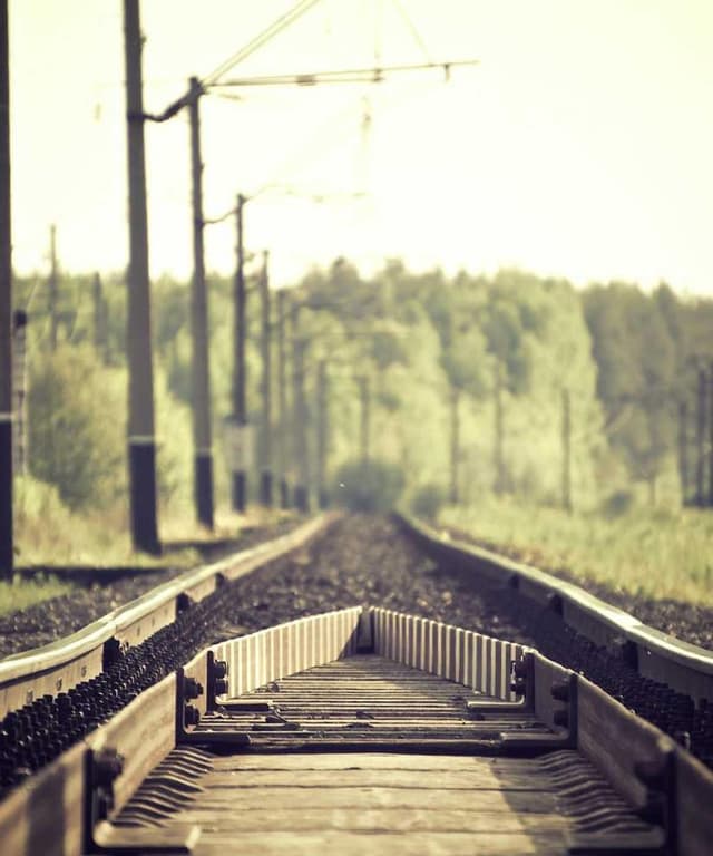 [EN] Freezack Single Dinner Bowl for Dogs (Brown velit #639)