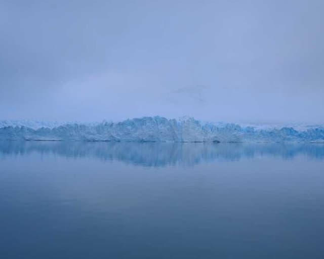 [EN] Royal Canin Urinary S/O (CornflowerBlue odit #223)