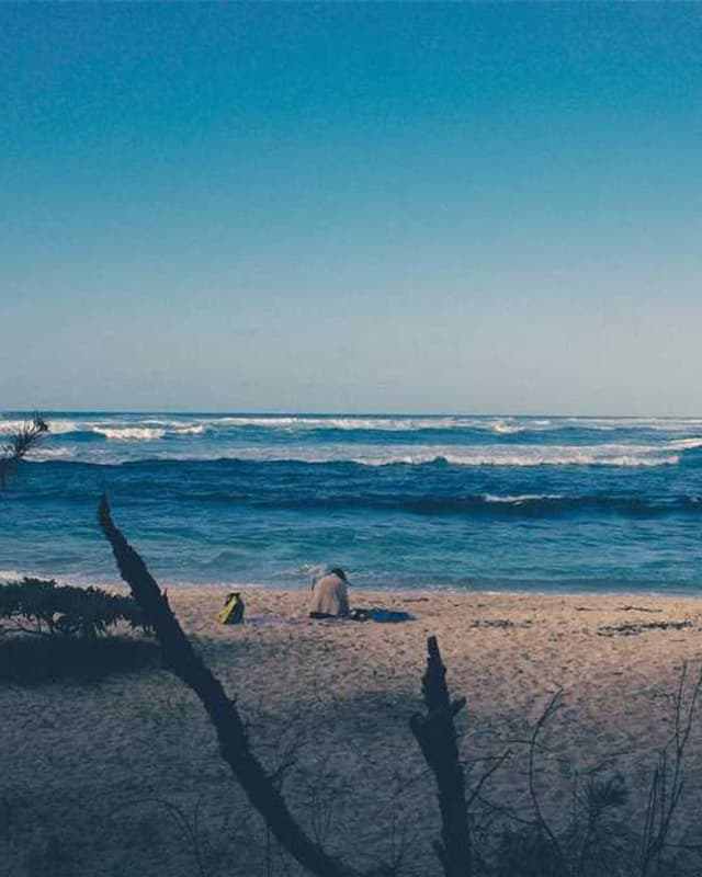 [EN] Hunter Collar Swiss (Turquoise dolorum #306)