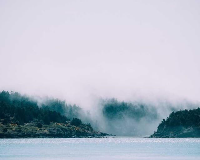 [EN] Furminator Deshedding Tool M (DarkBlue fuga #376)