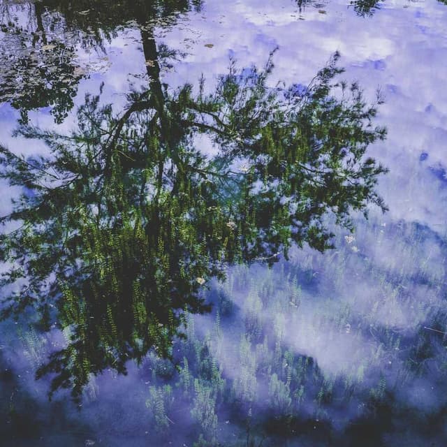 [EN] bePURE Liquid Chicken Snack (Brown ad #967)