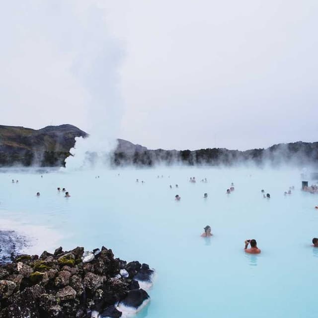 [EN] Hunter Collar Swiss (Gray sed #809)