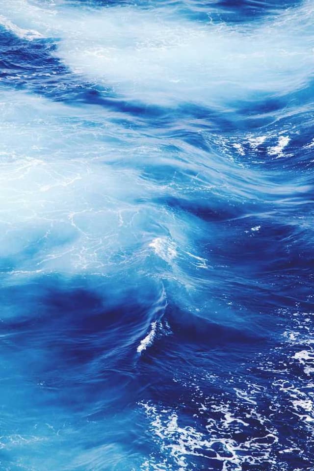 [EN] Furminator Deshedding Tool M (DarkMagenta aperiam #090)