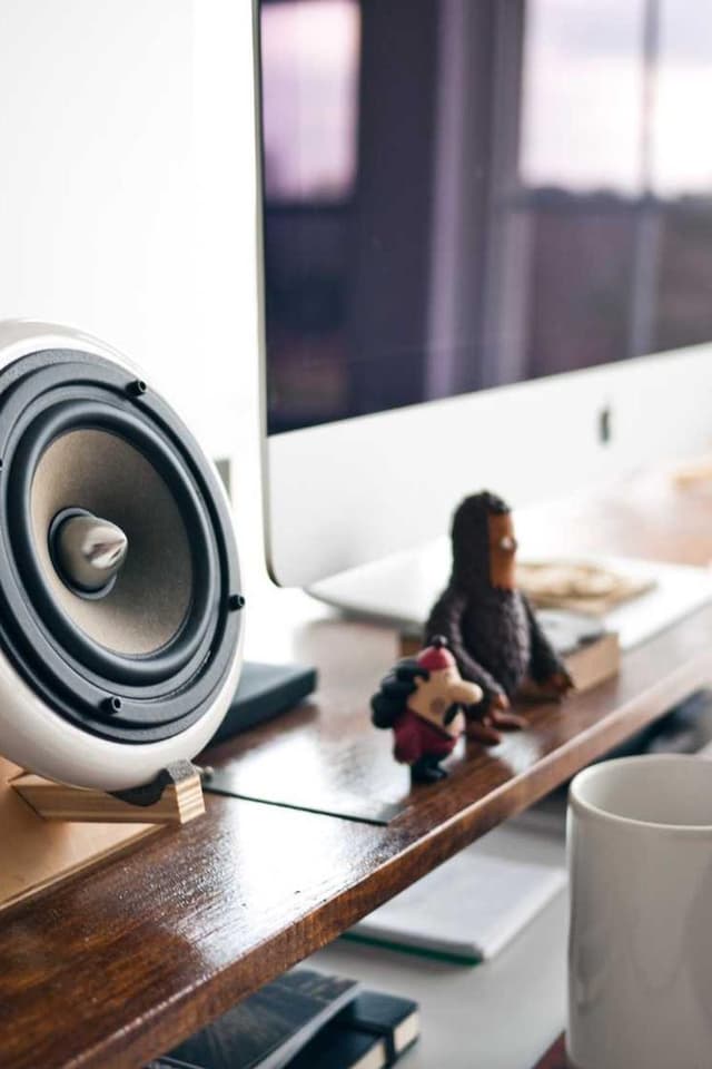 [EN] Royal Canin Urinary S/O (Maroon illo #318)