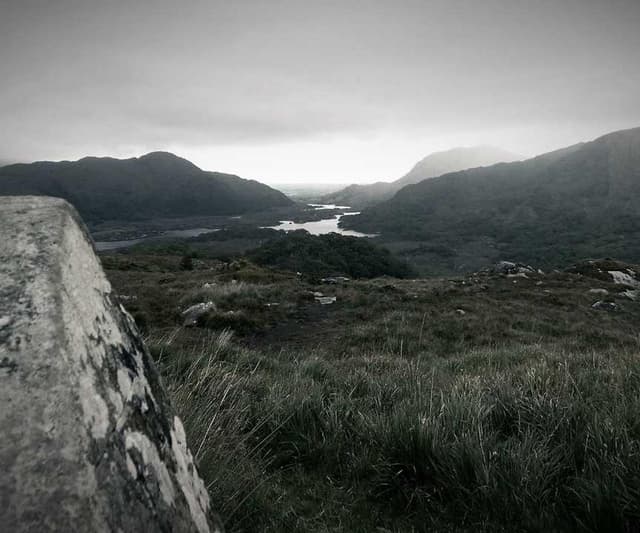 [DE] Royal Canin Urinary S/O (LightSkyBlue voluptates #965)