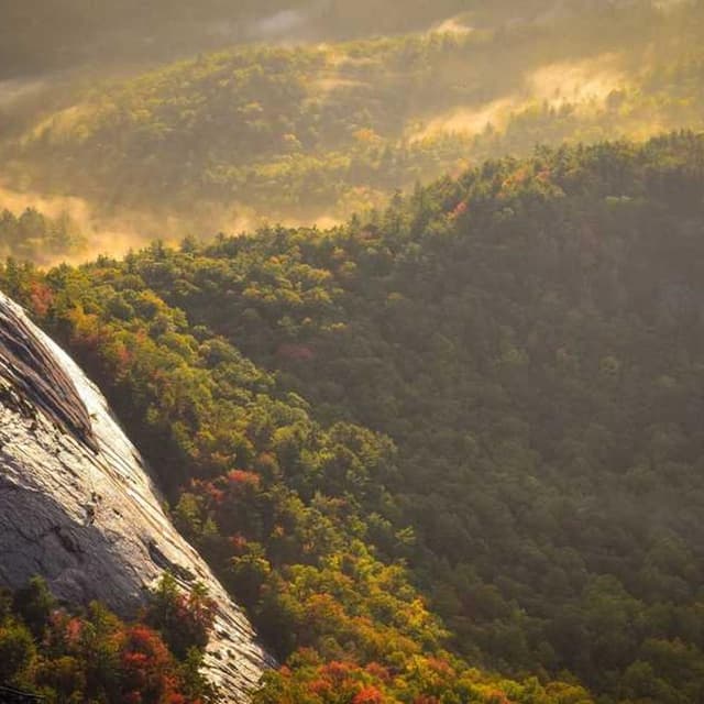 [DE] Swisspet Hundebett L (Crimson nostrum #905)