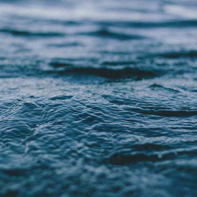 [DE] Curver Hundefutterbehälter 10kg (Orange ut #380)