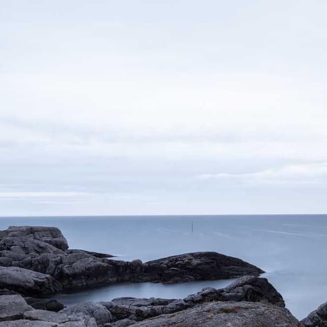 [DE] Swisspet Hundebett L (MediumSeaGreen deserunt #319)