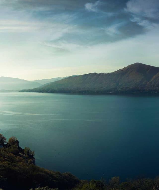 [DE] Trixie Katzenspielzeug Maus (OldLace in #909)