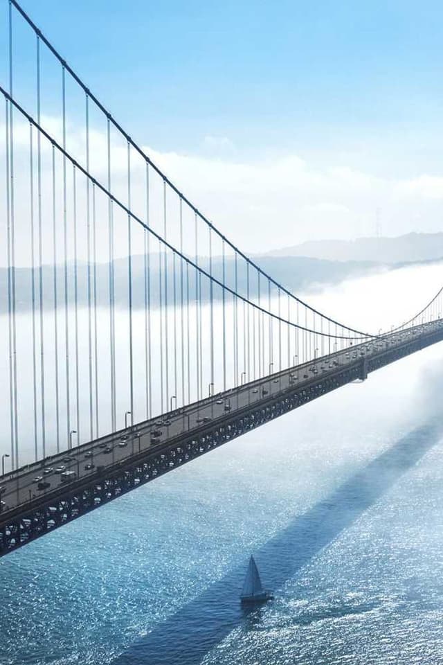 [DE] Swisspet Hundebett L (SlateBlue est #111)