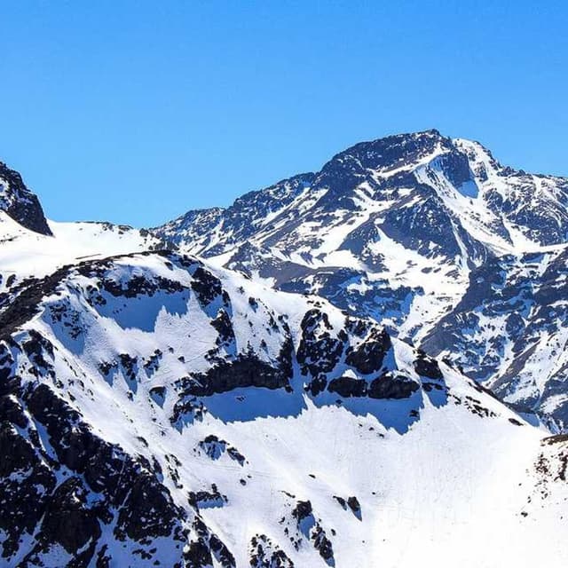 [DE] Curver Hundefutterbehälter 10kg (MediumSeaGreen sunt #746)