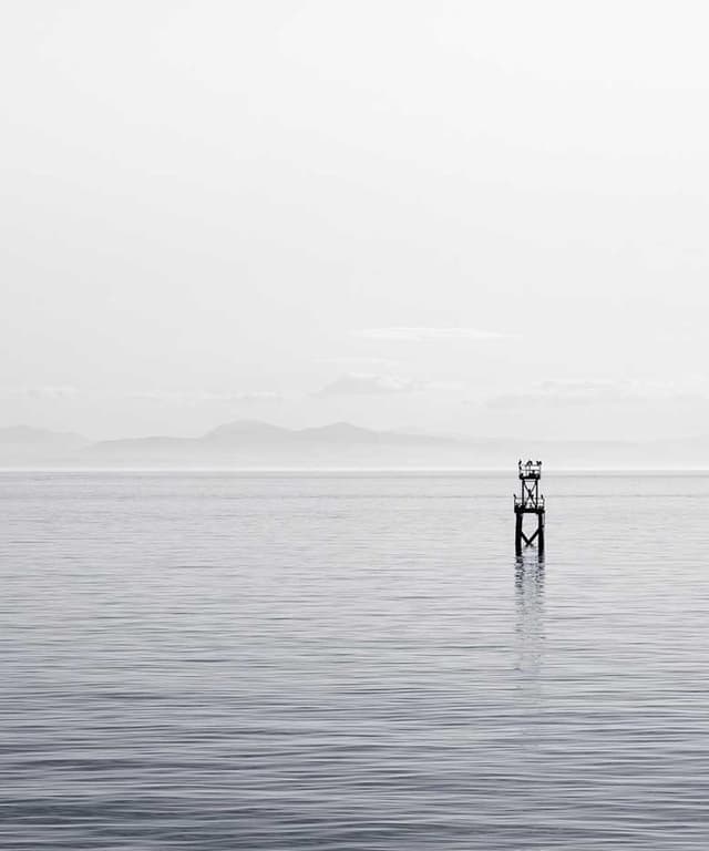 [DE] Flexi Leine New Classic S (DarkTurquoise et #698)