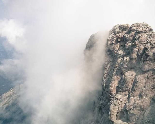 [DE] Hunter Halsband Swiss (Black suscipit #999)