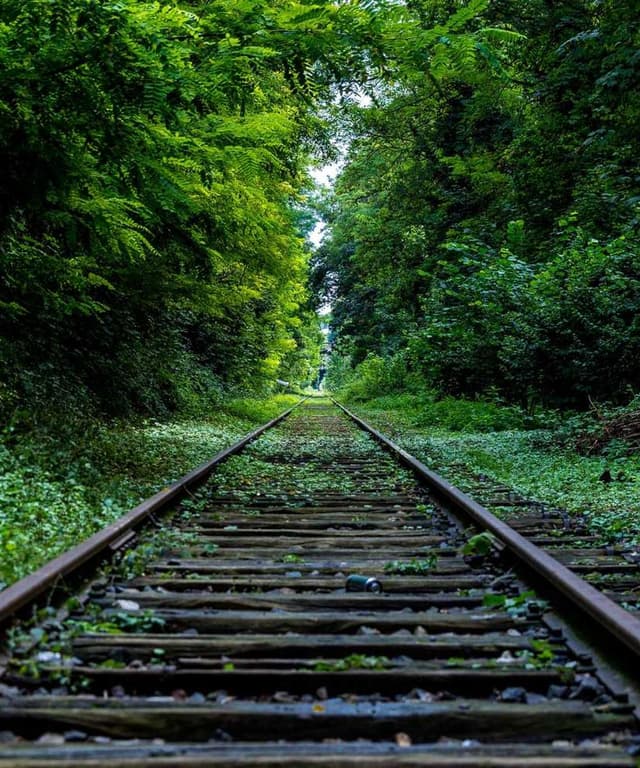 [EN] In-Fluence Eye Cleaner (LawnGreen possimus #477)