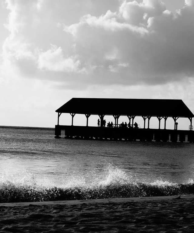 [EN] Curver Dog Food Container 10kg (Darkorange id #989)