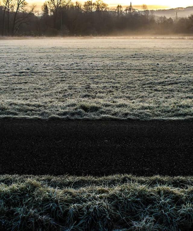 [EN] Hunter Collar Swiss (DarkRed magni #305)