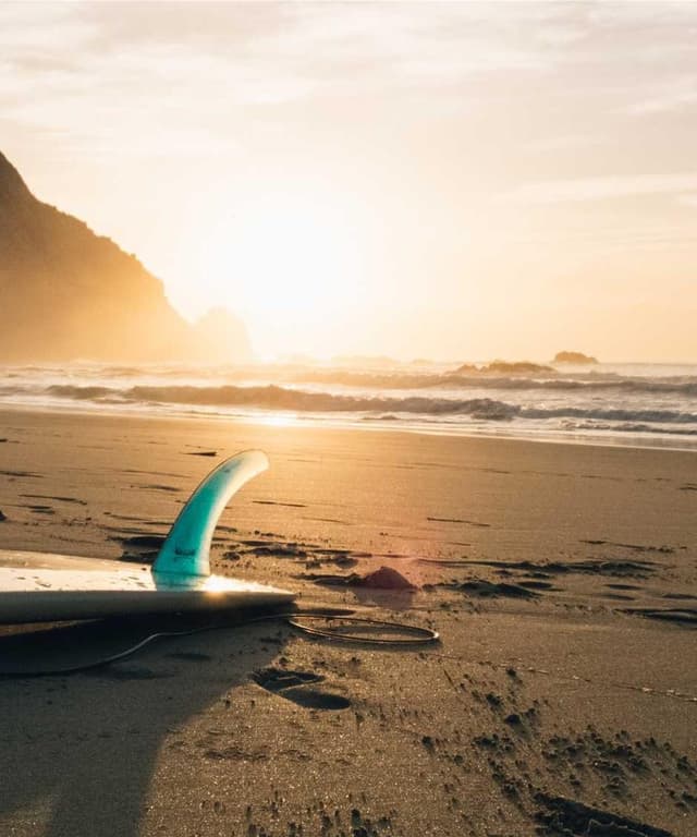 [EN] Hunter Collar Swiss (Lime id #908)