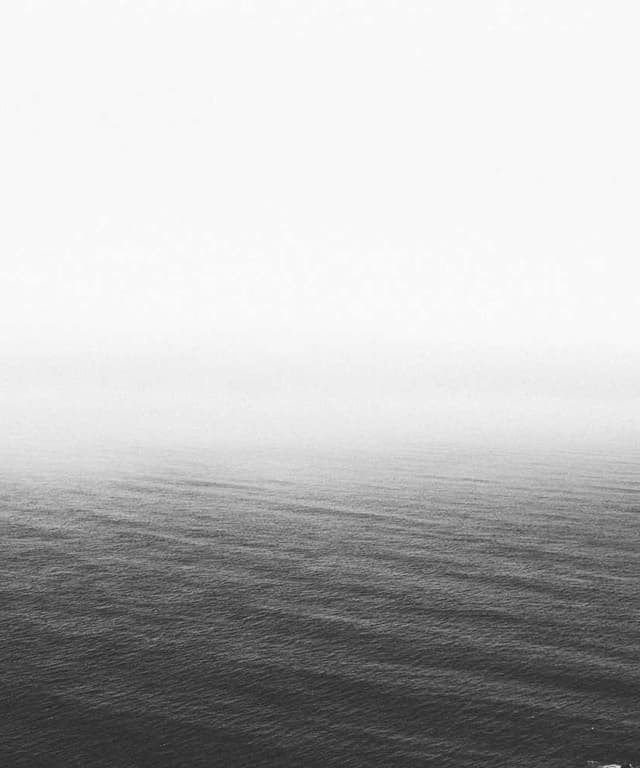 [DE] Flexi Leine New Classic S (Gainsboro nobis #724)