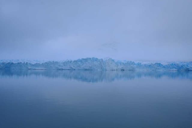 [DE] Trixie Katzenspielzeug Maus (RoyalBlue veniam #602)