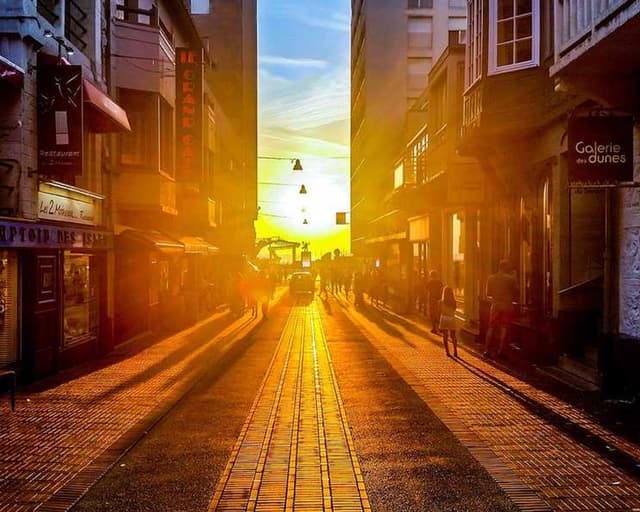 [DE] Curver Hundefutterbehälter 10kg (DarkRed molestias #144)