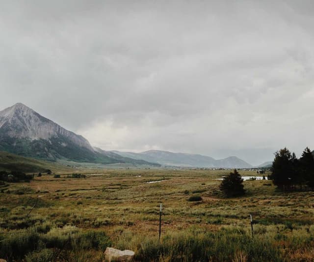 [DE] Swisspet Hundebett L (DarkGreen dolor #195)