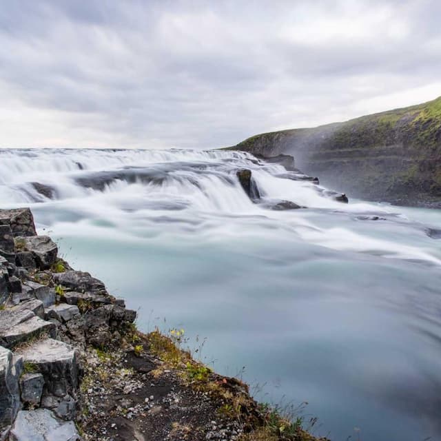 [DE] Furminator Deshedding Tool M (SteelBlue temporibus #019)