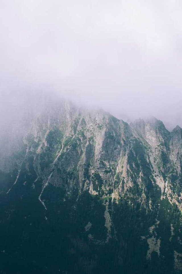 [EN] Royal Canin Urinary S/O (Azure sed #926)