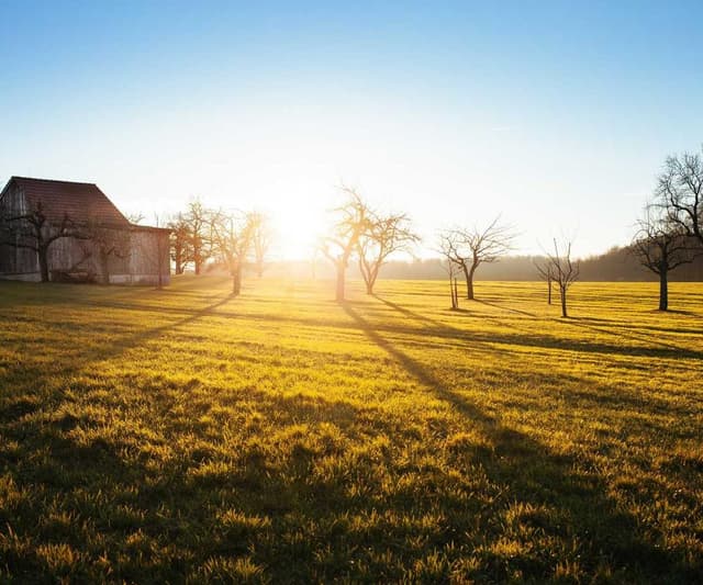 [EN] PetRebels Wall of Rebels scratching post (DarkKhaki neque #983)