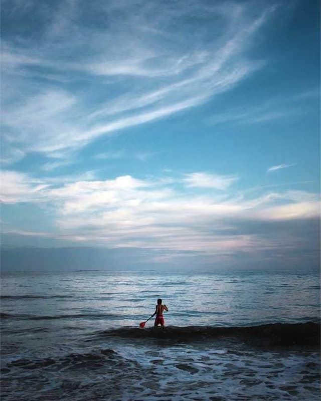 [EN] bePURE Liquid Chicken Snack (Khaki eveniet #375)