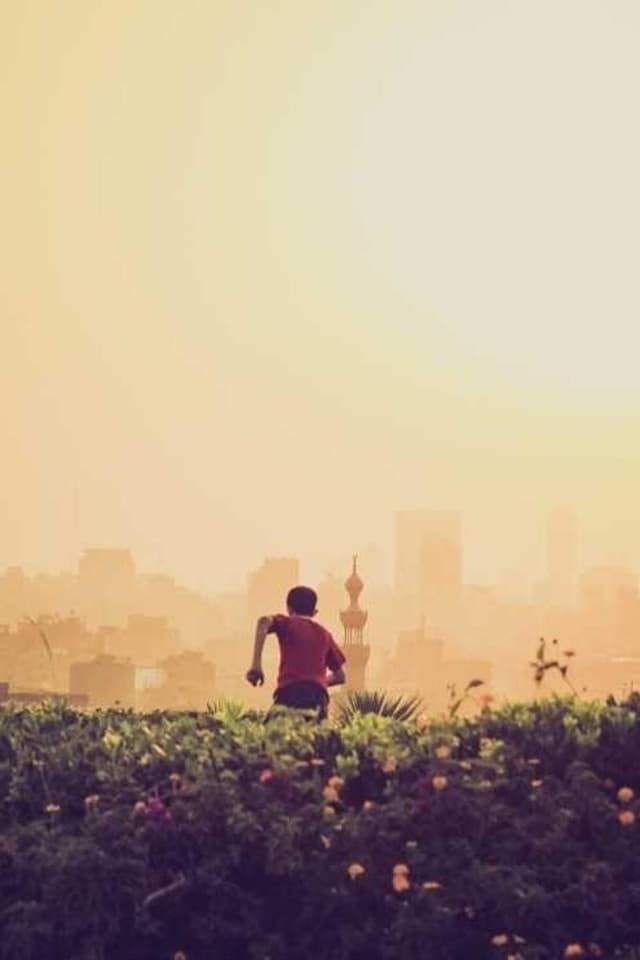 [EN] bePURE Liquid Chicken Snack (YellowGreen deserunt #238)