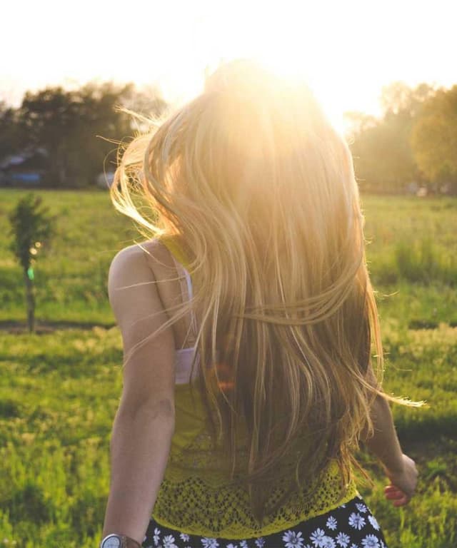 [EN] Swisspet Dog Bed L (HoneyDew magni #491)