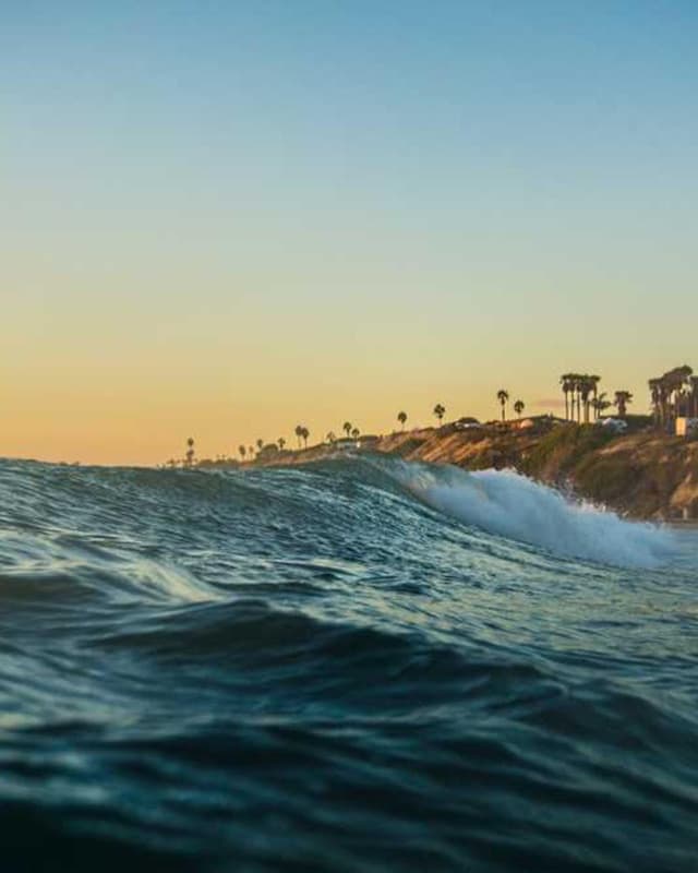 [EN] Freezack Single Dinner Bowl for Dogs (IndianRed voluptatum #664)