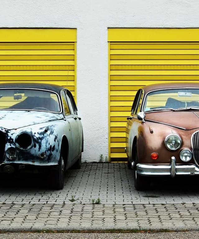 [EN] Freezack Single Dinner Bowl for Dogs (Linen aut #459)