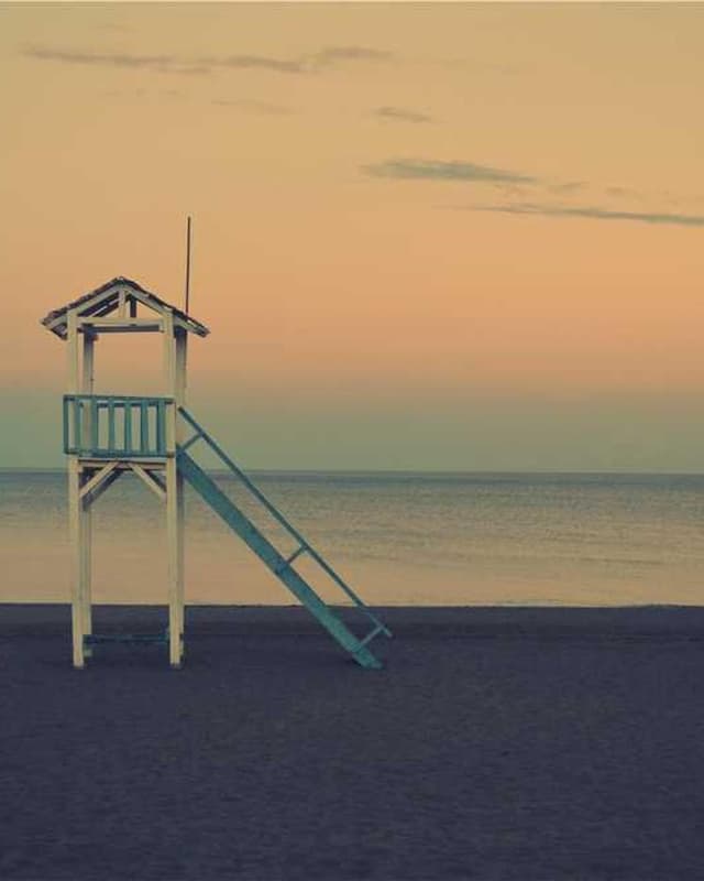 [EN] Flexi Leash New Classic S (Maroon repellendus #877)