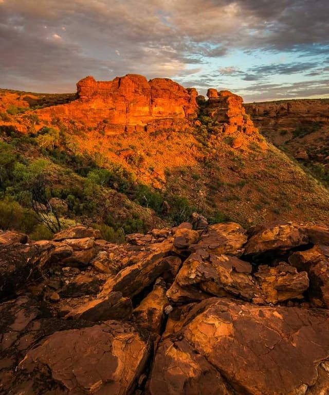 [EN] PetRebels Wall of Rebels scratching post (Orchid harum #904)