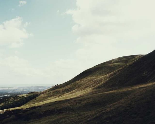 [EN] Freezack Single Dinner Bowl for Dogs (SkyBlue vero #251)