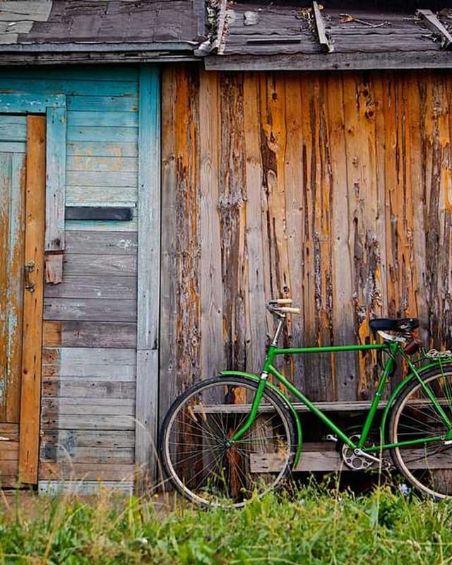 [EN] Freezack Single Dinner Bowl for Dogs (PaleGoldenRod accusamus #988)