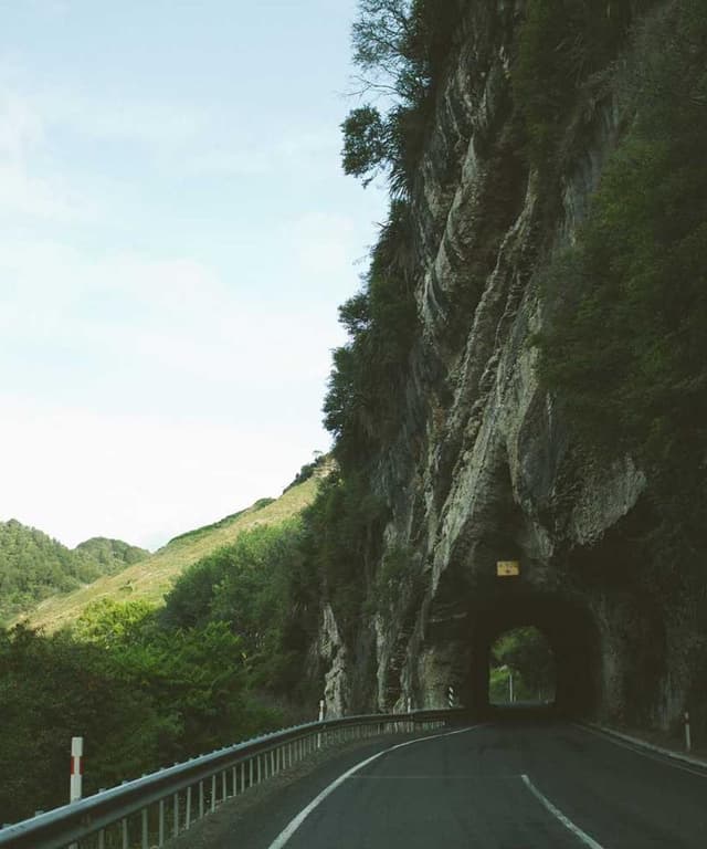 [EN] Furminator Deshedding Tool M (MediumAquaMarine natus #901)