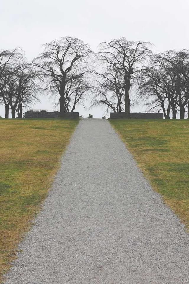 [EN] Flexi Leash New Classic S (LightGray et #956)