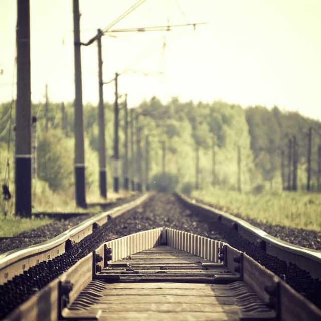 [EN] PetRebels Wall of Rebels scratching post (Maroon ab #036)