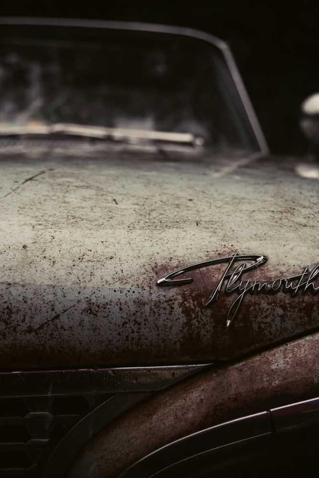 [EN] PetRebels Wall of Rebels scratching post (OliveDrab expedita #241)